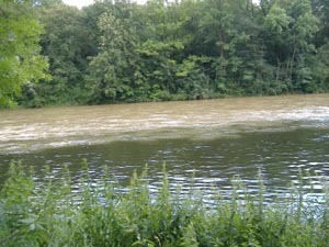 DSCF3995.jpg